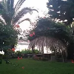 狄俄尼索斯公寓 *