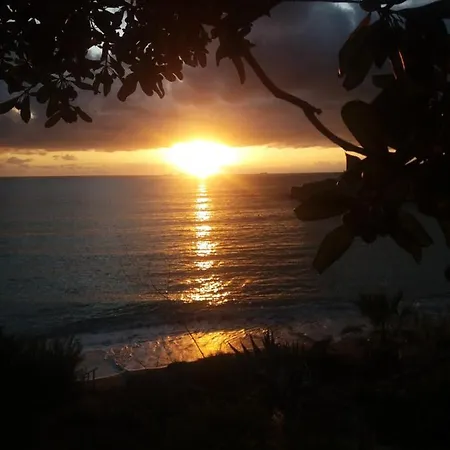 Dionisis Κουνόπετρα