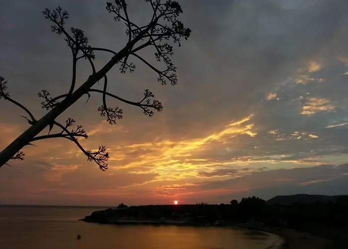 Apartament Dionisis Kounopetra