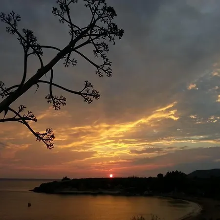 Apartment Dionisis Kounopetra