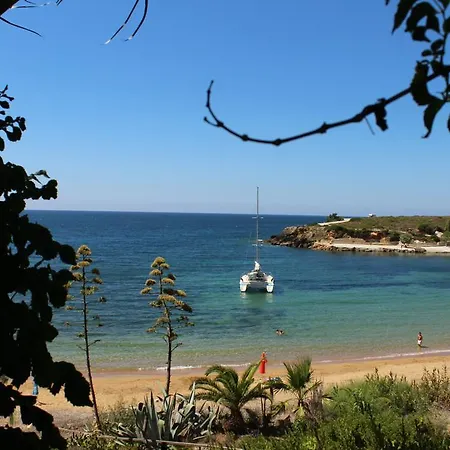 Dionisis Apartment Kounopetra