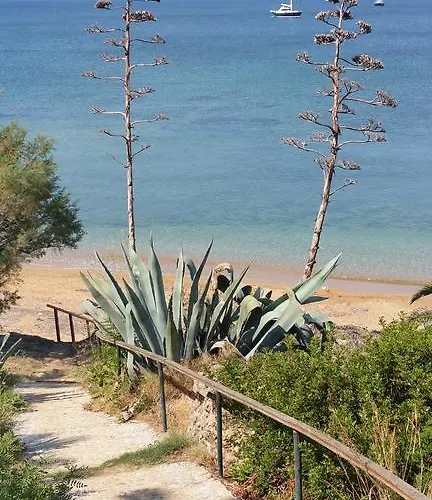 Dionisis * Kounopetra