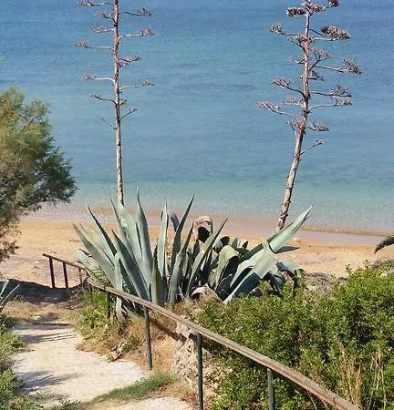 Dionisis * Kounopetra